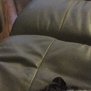 Meet your Posher, Lucie